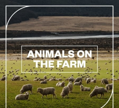 Blastwave FX Animals on the Farm WAV